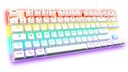 Clavier G-LAB KEYZ MERCURY TKL Blanc