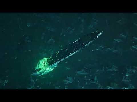 Souris Razer Basilisk V3 HyperSpeed - Sans fil