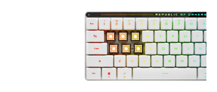 Clavier ASUS ROG Falchion RX Low Profile - Sans Fil - RGB - PC/MAC